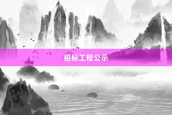 招标工程公示